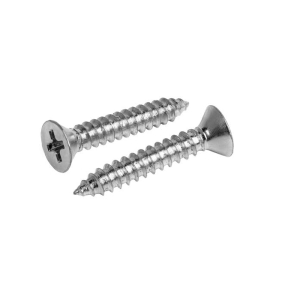 3,9x13  İNOX SAC VİDASI YSB 95200